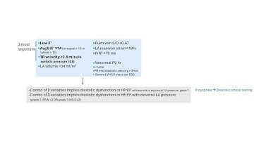 Diastology by echo: simplified explanations and algorithms- 2025 ASE guidelines
