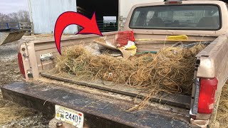 Farmer Stops Playing Nice After People Invade His Property, LeadsTo An Insane Police Involvement by HappyWorld 1,214 views 2 days ago 14 minutes, 10 seconds