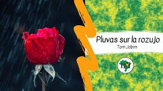 “Chovendo na roseira” (Tom Jobim) en Esperanto (2ª versio)