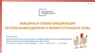 Вакцины и схемы вакцинации против инфекционного ларинготрахеита птиц