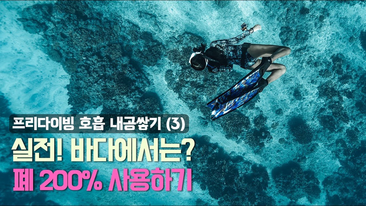 프리다이빙 호흡법 3편, '바다에서 숨을 오래 참으려면'