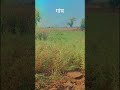 #bollywood #bollywoodsongs #music #song #hindisong #automobile #militarypowe