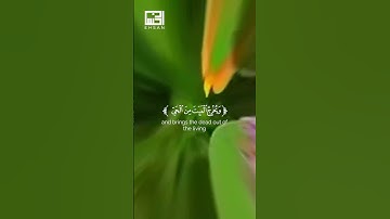 سورة الروم الآيات 17-18-19 قراءة الشيخ #فارس_عباد