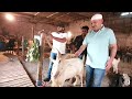 HB Goat Farm Ka New Stylish Setup | Faiyaz Bhai Bhiwandi.