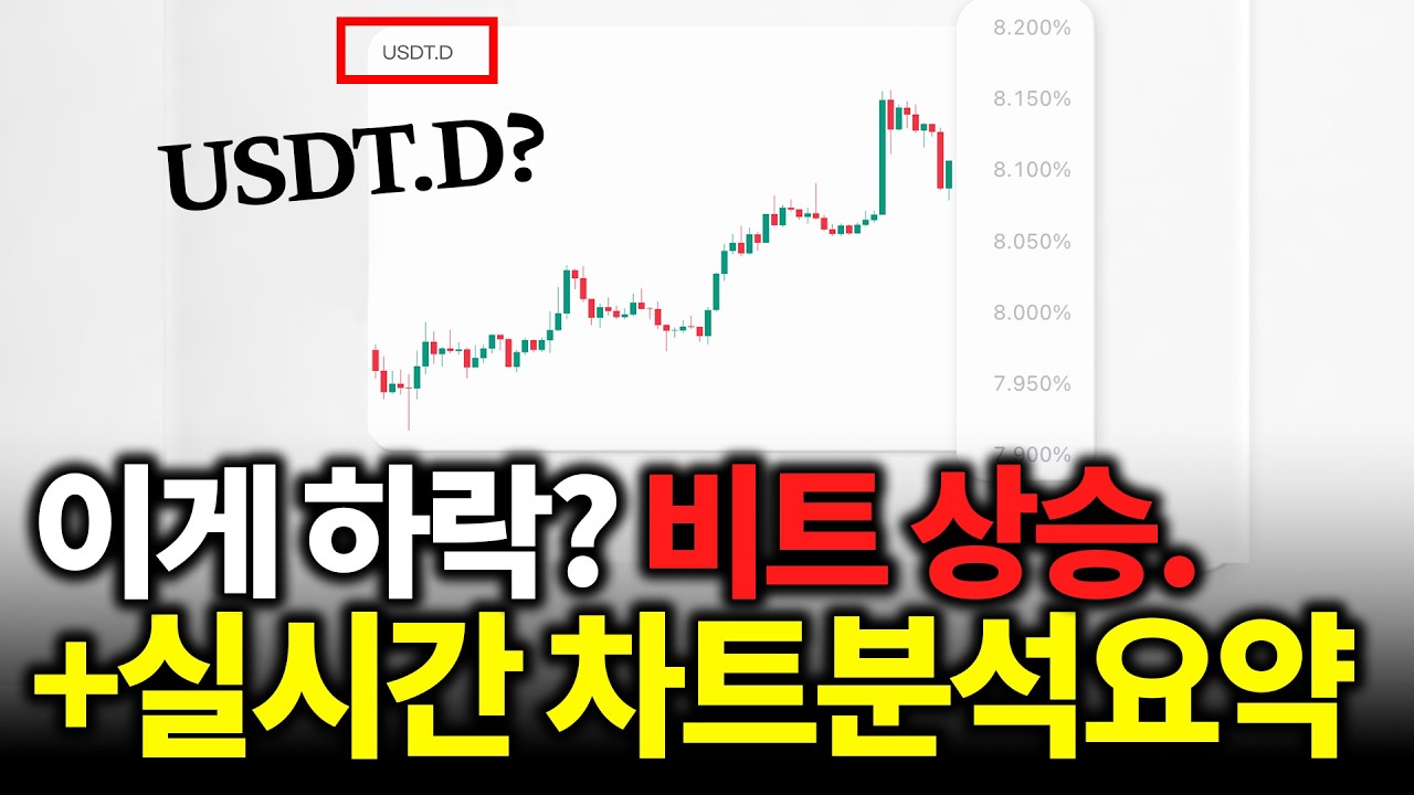 ⁣도미넌스 모르는 사람 다 들어오세요. | 비트코인 실시간 분석 요약