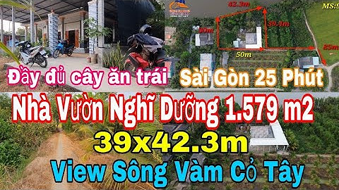 Nhà vườn Long An | Nhà vườn Nghỉ Dưỡng đẹp | Nhà vườn cây ăn trái ao cá view sông vàm cỏ tây
