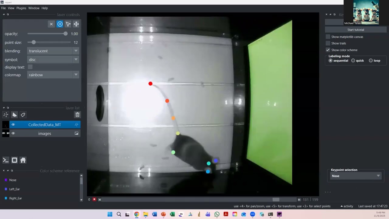 Mouse exploratory behavior - DeepLabCut AI training session 2