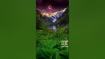 🌿القرآن الكريم راحة نفسية #بدون_حقوق