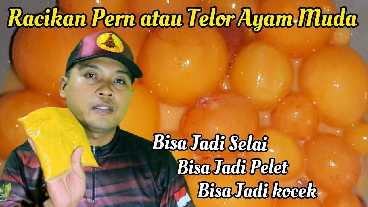 Umpan Galatama Lele II Racikan Telor Ayam Muda