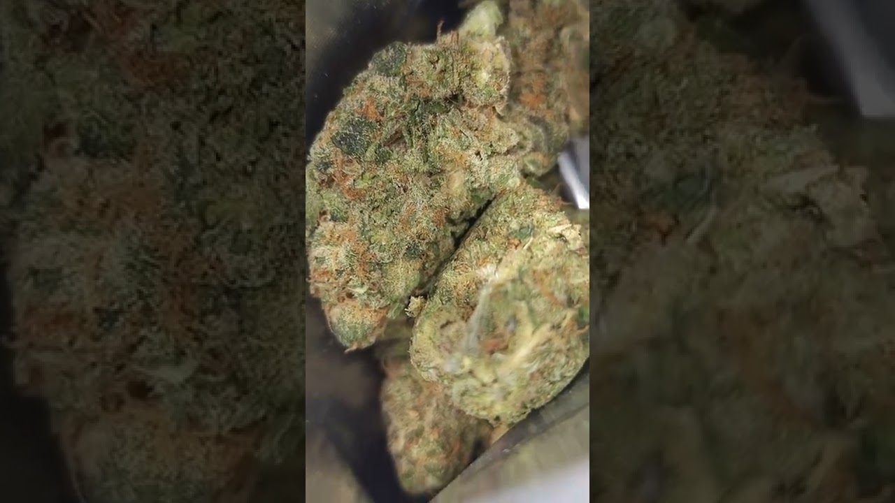 ‪@Cookiesenterprises‬