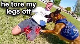 Never Run From a K9