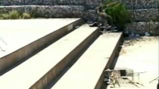 Creature "Born Dead" Skate Tape