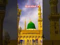 Muhammad Nabina Naat | Beautiful Heart Touching Islamic Naat #islamicvideo #naatsharif #viral #usa