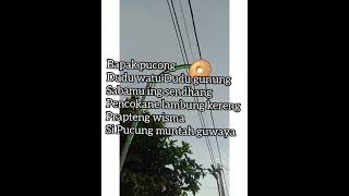 Tembang Macapat Pucong