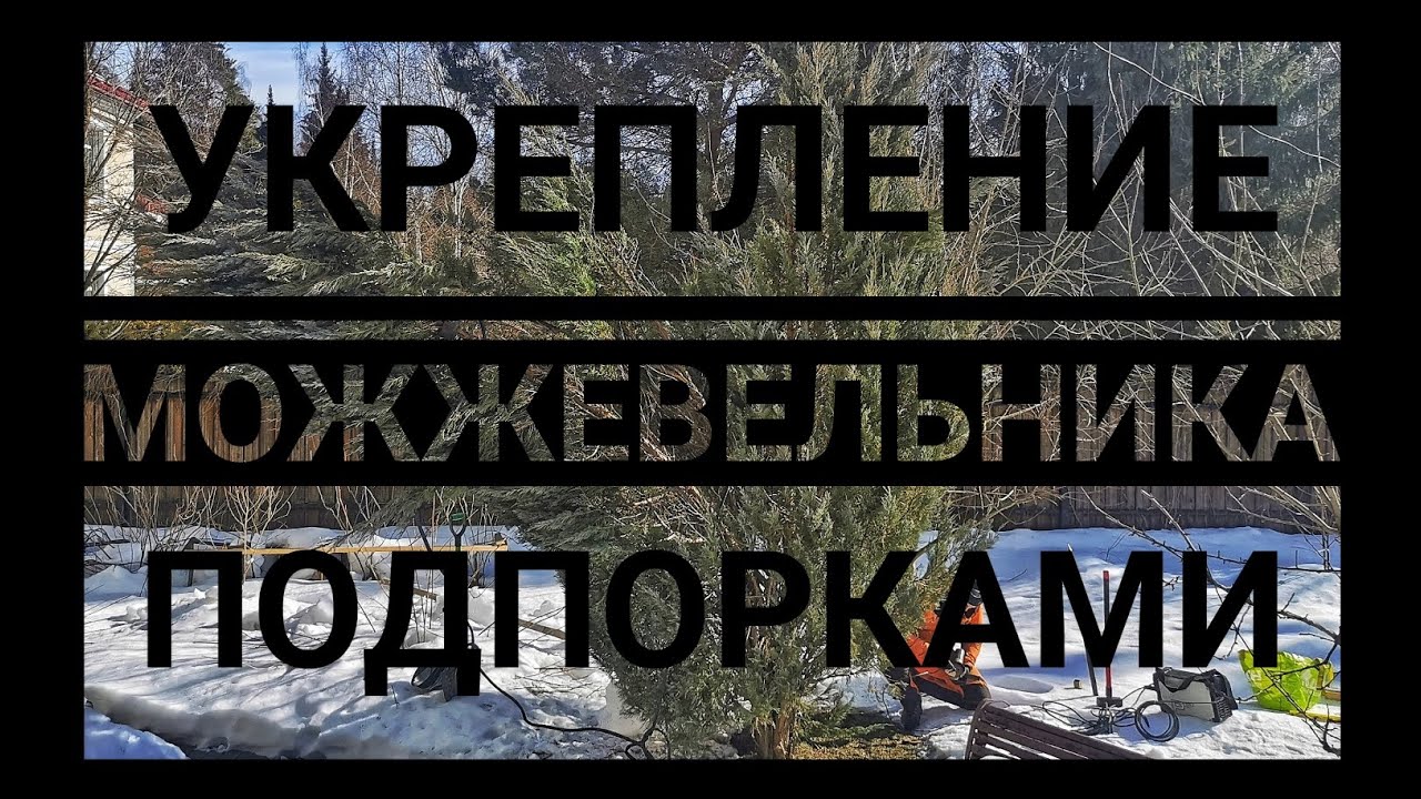 Проппинг - укрепление деревьев подпорками: установка систем ...