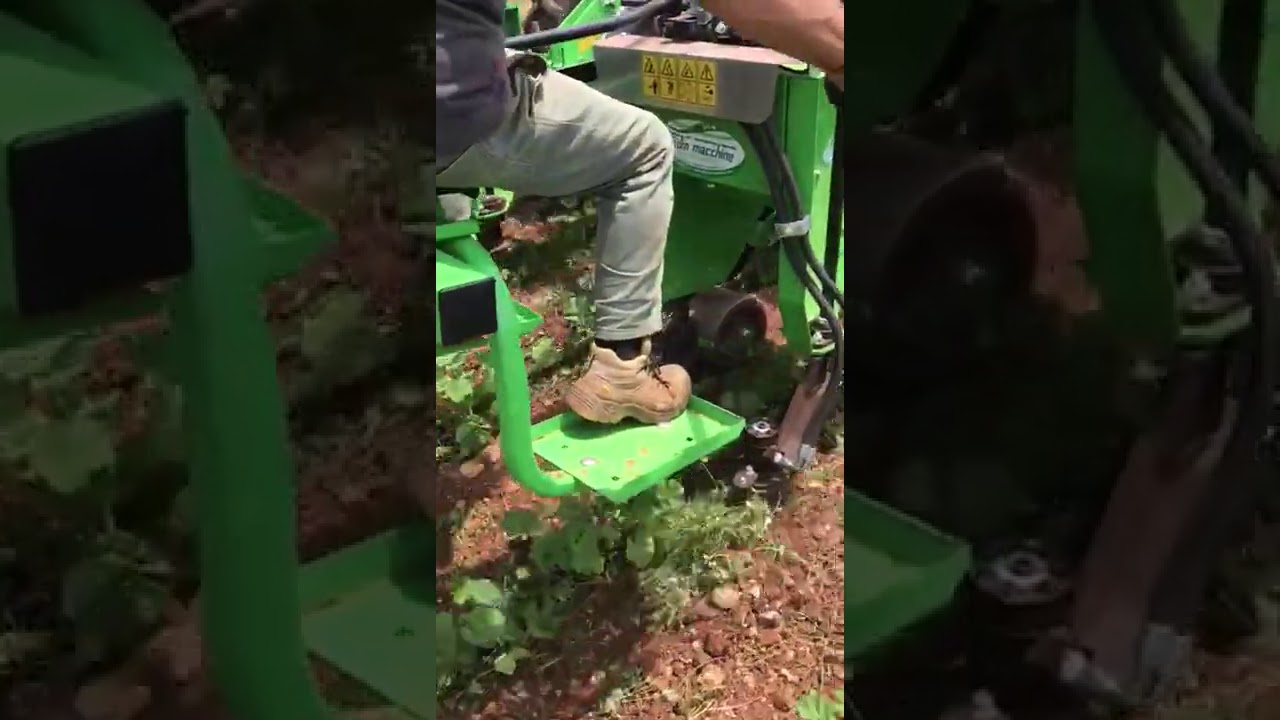 Sarchiatrice interpianta bifila telescopica per rimozione meccanica e biologica di erbe infestanti