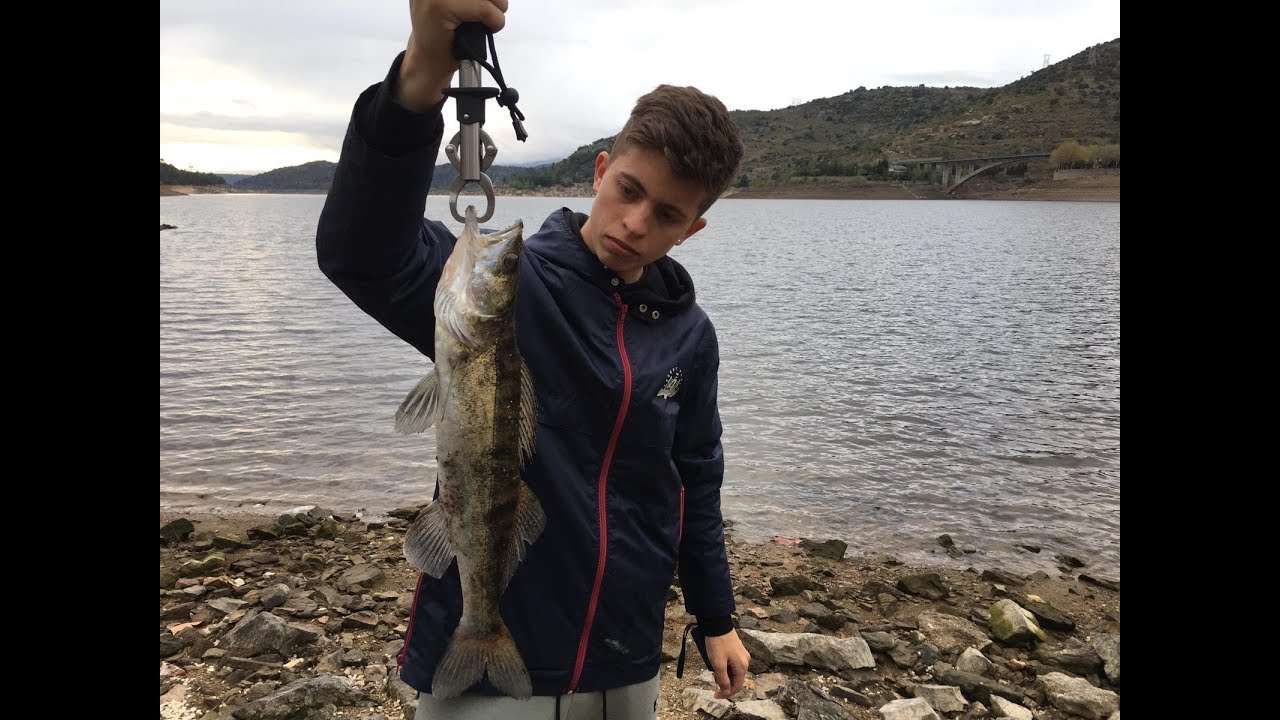 Luciopercas embalse del burguillo