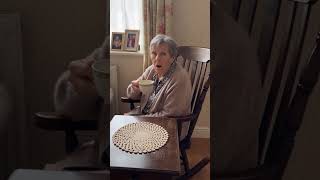 BOGAN MOTHS TERRORISE AUSTRALIA #satire # #funny #moths