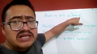 Use of the prefix POLY by teachertino