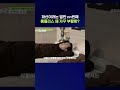 죽었다 살아났다 무한 반복하는 홈플러스 #홈플러스 #shorts #스브스뉴스