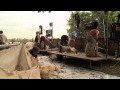 Blood, Sweat & Shears - The Gritty reality of Sheep Shearing HD (Trailer for DVD)