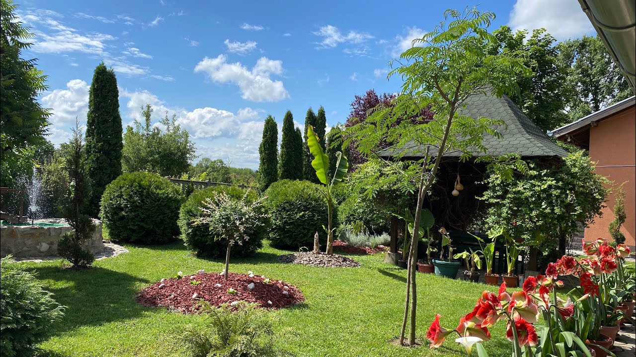 4K Moje dvorište 2024 , my garden , uređivanje dvorišta , Šumadija , Srbija