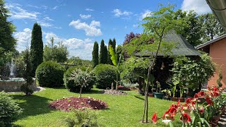 4K Moje Dvorište 2024 , My Garden , Uređivanje Dvorišta , Šumadija , Srbija