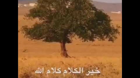 صوت جميل من سورة الإنفطار