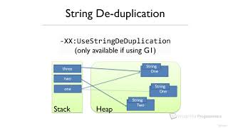 55  String de duplication