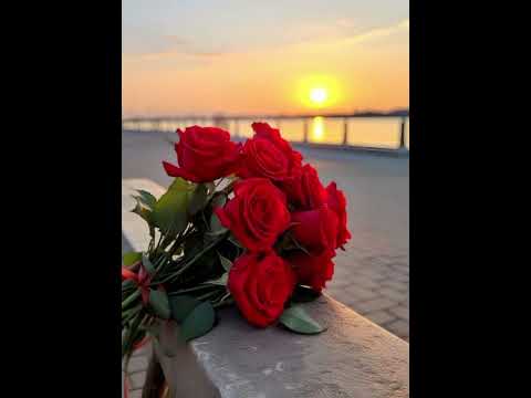 أنا ناطر حبيبي نبيل شعيل