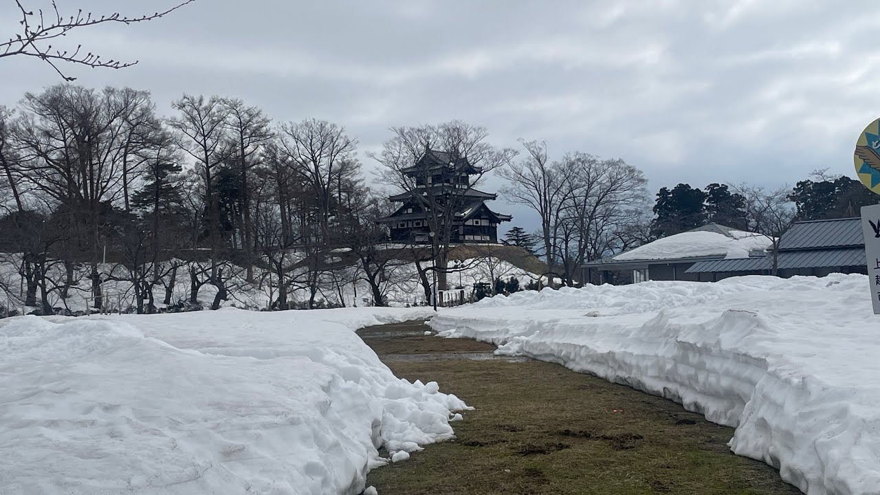高田城址公園（新潟県上越市）　2026年2月26日（木）😎😎😎