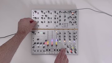Arpoloop - A Totally Fun and Unique Analog Rhythm Box