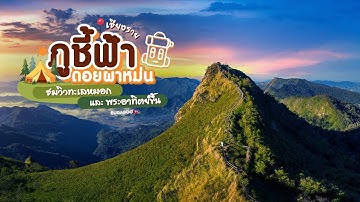 ภูชี้ฟ้า ดอยผาหม่น ที่เที่ยวเชียงราย ชมวิวทะเลหมอกและพระอาทิตย์ขึ้น | Bugaboo Travel | Ep.200