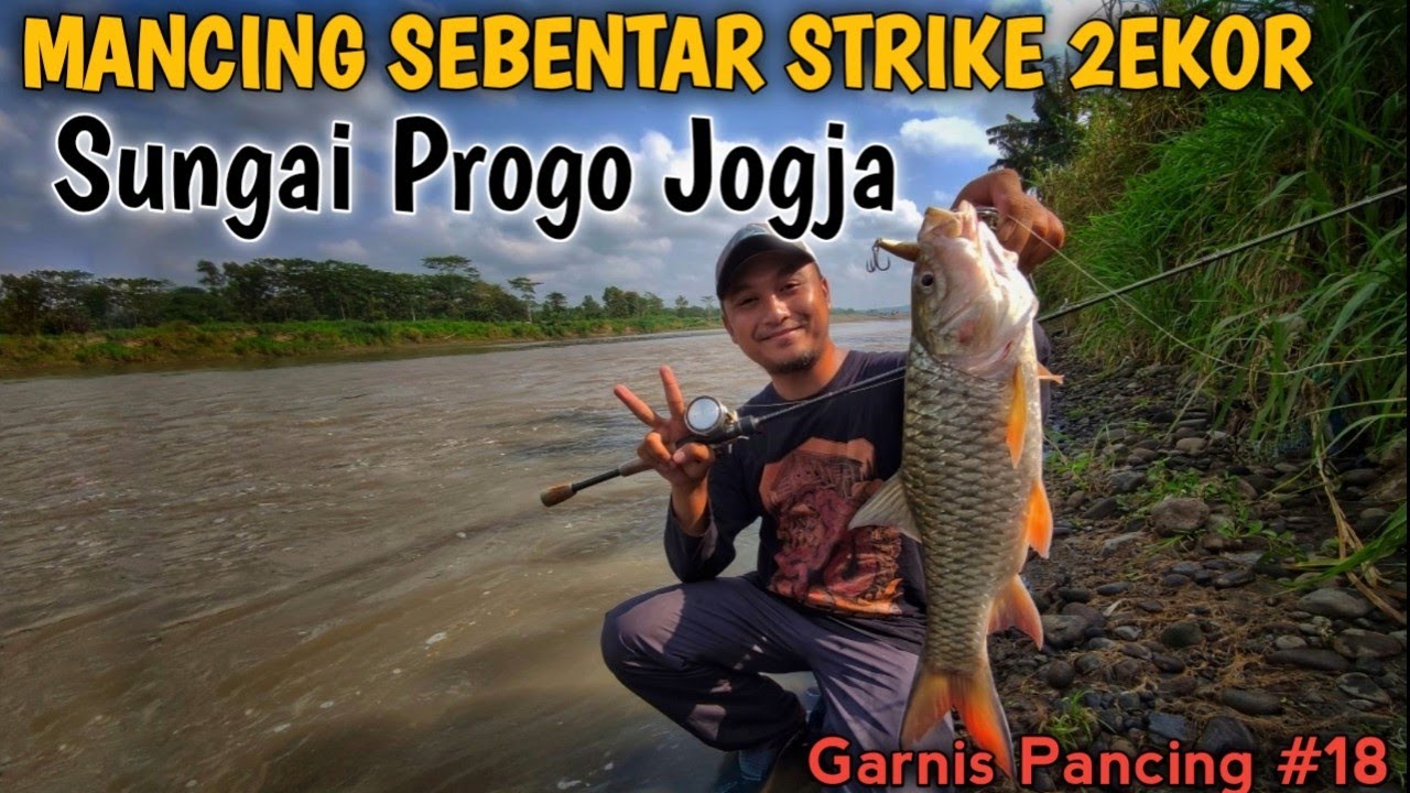 Spot Blusukan Sungai Progo ||Jarang Pemancing || STRIKE 2EKOR HAMPALA || Belajar Casting Hampala #18