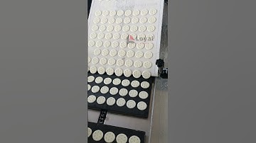 Multifunctional Cookie Resilient Biscuits Crispy Biscuits Equipment Automatic Biscuit Making Machine