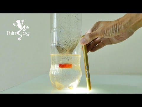 Hatching Brine Shrimp Eggs for Goldfish Fry (Ep.3)