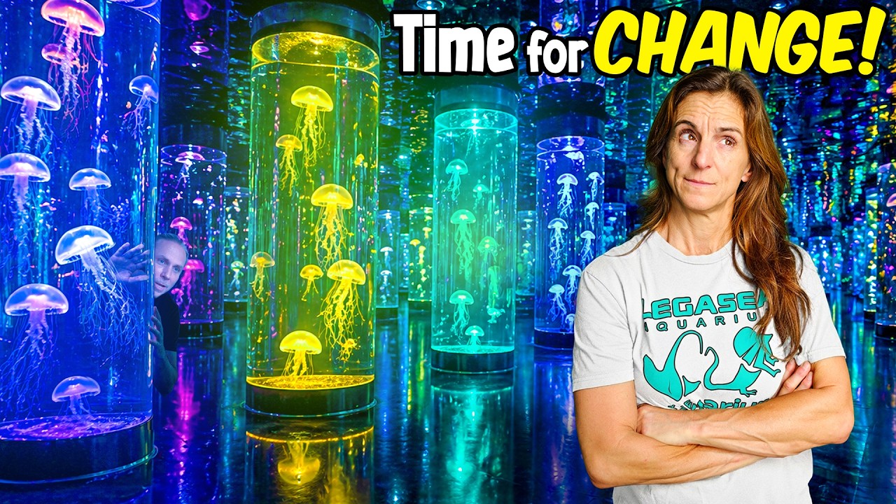 This Jellyfish Museum Made Me Rethink Everything..