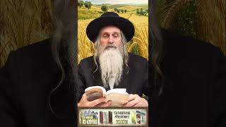 ספירת העומר נצח שבמלכות הרב שמואל שטרן