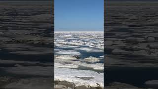Sea ice and weather conditions in Shishmaref on 15 June 2026