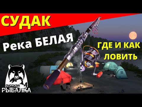 СУДАК Река БЕЛАЯ - ГДЕ И КАК ЛОВИТЬ / ФАРМ р. БЕЛАЯ ✅ РУССКАЯ РЫБАЛКА 4 🔴 Russian Fishing 4 🔴 РР4