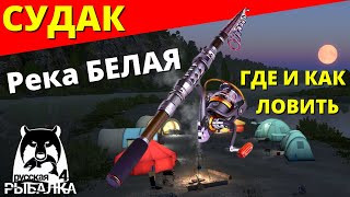 СУДАК Река БЕЛАЯ - ГДЕ И КАК ЛОВИТЬ / ФАРМ р. БЕЛАЯ ✅ РУССКАЯ РЫБАЛКА 4 🔴 Russian Fishing 4 🔴 РР4