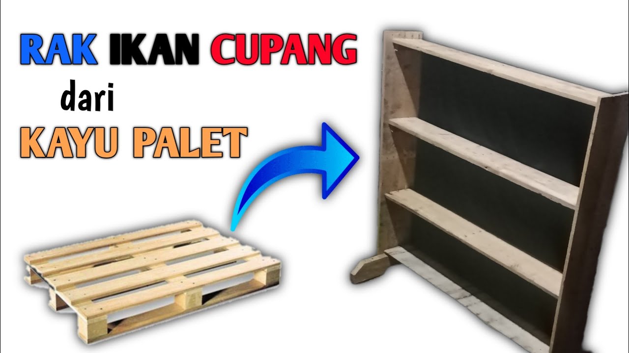  Rak  Kayu Ikan  Cupang  Ide Kreatifku YouTube