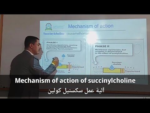 Mechanism of action of succinylcholine (Suxamethonium) آلية عمل سكسنيل كولين