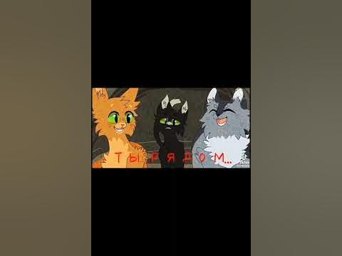 коты воители Горелый эдит - YouTube