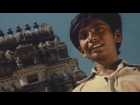 Erra Mallelu Movie || Naampalli Tesanukaadi Video Song || Madala Ranga Rao, Murali Mohan