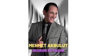 Mehmet Akbulut - Erzurum İki Yoldur Resimi