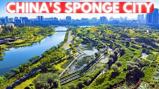 How Can a City Be Made of Sponge?