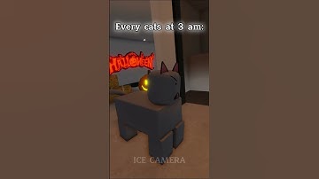 every cats at 3am (roblox animation) #roblox #robloxanimation #animation #cat #cats #meme #funny