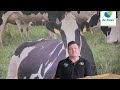 Discover the Excelac Range with De Heus! 🐄