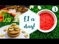 How to live on £1 a day |  Vegan on a budget | DAY 3